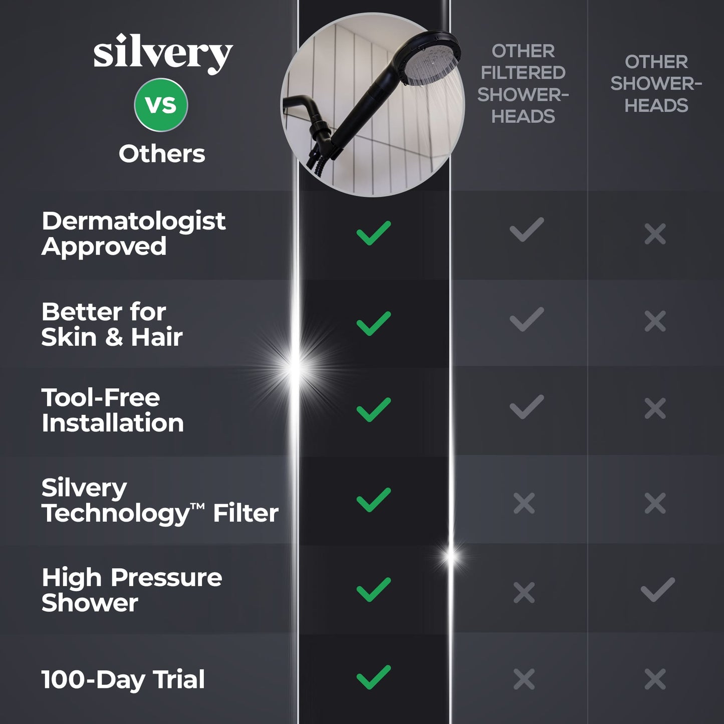 Handheld Filtered Showerhead
